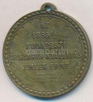 1885. "Rudolf Trónörökös a kiállítás védnöke / Az 1885-iki Budapesti Országos Kiállítás Emlék É...