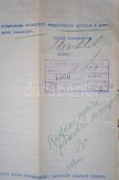 1914 Országos Izraelita Patronage Egyesület hivatalos levele gyermek elhelyezéssel kapcsolatban, kis...