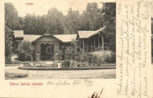 Szolyva-Hársfalva, Nelipino; Forrás / fountain