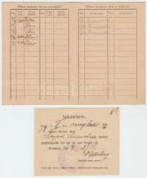 1923 Látogató-jegy, Amerikai Vöröskereszt Anya- és Csecsemővédő-akciója Magyarországon, 12x9cm