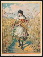 Budapest 1898. "II. Magyar Királyi Szabadalmazott Osztálysorsjáték" játékterve T:III szennyeződés, szakadás