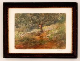 Granáv jelzéssel: Erdőrészlet. Akvarell, papír, jelzett, üvegezett keretben, 19x25 cm
