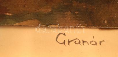 Granáv jelzéssel: Erdőrészlet. Akvarell, papír, jelzett, üvegezett keretben, 19x25 cm