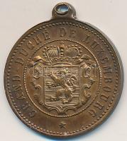 Luxemburg ~1900. "Adolf, Nassau hercege és Luxemburg nagyhercege" Br medál (22mm) T:2,2.
...