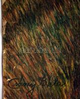 Császy Béla (?-?): Nyársazás a tábortűznél. Vegyes technika, karton,  sérült, 56×72 cm