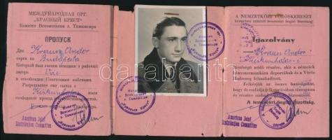 1945 Igazolvány zsidó személy részére, akit a németek kényszermunkára deportáltak... A Nemzetközi Vöröskereszt keretében működő Segítő Bizottság, Temesvár, 11x29cm / 3 language ID for Jew, who was deported for work and liberated by the Russians