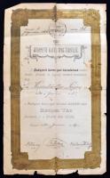 1880 Budapesti Kávés-Ipar-Társulat oklevele rendes taggá való felvételről, kissé viseltes állapotban, 34x21cm