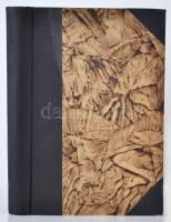 Ady Lajos: Ady Endre. Bp., 1923, Amicus. 245 p. 6 t.  Korabeli félvászon-kötésben. Festett előzéklap...