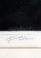 Floris András (1948-): Vízisikló. Színezett akvatinta, papír, jelzett, üvegezett keretben, 25×31 cm