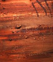 Tóth Rozália (1946-2015): Gémeskút. Olaj- gipsz, farost, jelzett, keretben, 50x100 cm