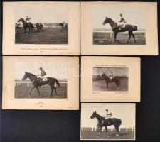 cca 1920 Díjnyertes lovak az ügetőn. Nebúsulj, Bunkó, Saida, Herero. 5 db nevesített lófotó, a lovasok neveivel is. Különböző méretben. / Champion horses. 5 named horses with their riders.