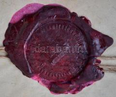 1925 IX. ker. kapitányság bűnjel regisztrációs dokumentum viaszpecséttel, 17x11cm