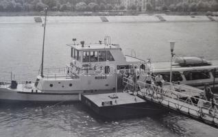 cca 1960 "Morgó" hajó a Margitszigetnél, 4db fotó kartonra ragasztva, 7x12cm