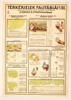 1930 Térképjelek falitáblái, A M. Kir. Honvéd Térképészeti Intézet által készített nagyméretű térképjel magyarázatok 8 táblán, 92x63cm