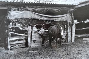 26 db magyméretű művészfotó különféle témákkal. Városképek, erotika, természet. 33x42 cm