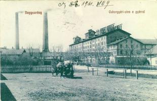 Nagysurány Sugar-factory