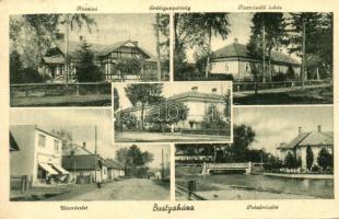 Bustyaháza, Bustino; Kaszinó, Tisztviselői lakás, patakrészlet, Erdőigazgatóság, utcarészlet / casino, clerks house, Forestry Directorate, street detail