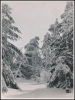 cca 1940 Magas-Tátra, 3 db jelzés nélküli vintage fotó Matheisel József rozsnyóbányai fotóművész hagyatékából, 24x18 cm