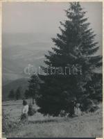 cca 1940 Magas-Tátra, 3 db jelzés nélküli vintage fotó Matheisel József rozsnyóbányai fotóművész hag...