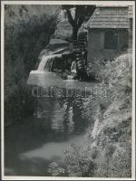 cca 1952 Vízimalom, jelzés nélküli vintage fotó dr. Leszl Kornél budapesti fotós hagyatékából, 24x18 cm
