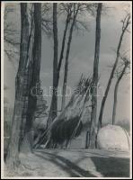 cca 1950 Halásztanya, 3 db jelzés nélküli vintage fotó dr. Leszl Kornél budapesti fotós hagyatékából, 24x18 cm