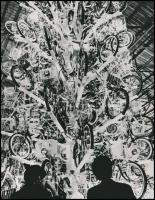 cca 1971 Karácsonyfa kerékpárokból építve, vintage fotó, 22,5x17,5 cm