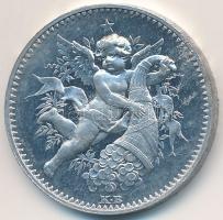 1896KB "Emlék a Körmöczbányai Magyar Királyi Pénzverő Kiállítására" Al emlékérem (24,5mm) ...