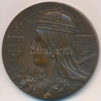 1908. "A Körmöczbányai Magyar Királyi Pénzverde Látogatásának Emlékére" Br emlékérem (36mm...