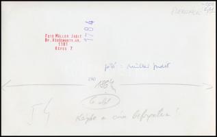 cca 1985 Müller Judit pecséttel jelzett, aláírt fotói gyermekekről, 3 db vintage fotó, 15x24 cm és 1...