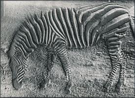 cca 1975 Csíkos a divat I-II., 2 db vintage fotó, 17x24 cm