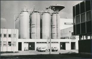 1985 Martfű, szövetkezeti sörgyár, vintage fotó, 16x24 cm