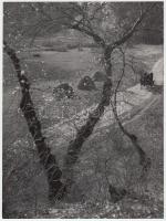 cca 1958 Őszi táj, feliratozott vintage fotó Dezső Pál kecskeméti fotóművész hagyatékából, 23,5x17 cm