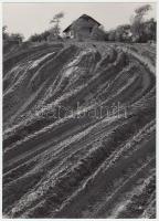 cca 1960 Átalakuló homokvilág, feliratozott vintage fotó Dezső Pál kecskeméti fotóművész hagyatékából, 23,5x17 cm