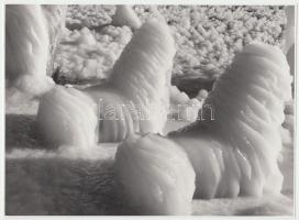 cca 1960 Jéggé dermedve, jelzés nélküli vintage fotó Krisch Béla kecskeméti fotóművész hagyatékából, 17,5x24 cm