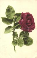 Red rose flower, Martin Rommel & Co. Hofkunstanstalt No. 509.