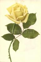 Yellow rose flower, Martin Rommel & Co. Hofkunstanstalt No. 526.