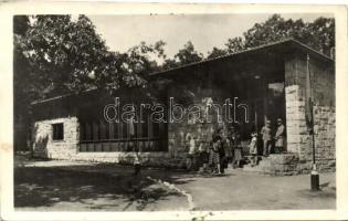 2 db Úttörővasút + 1 db biciklis fotó képeslap