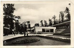 2 db Úttörővasút + 1 db biciklis fotó képeslap