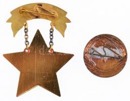 ~1970. "A Magyar Vöröskereszt Kiváló Dolgozója" festett fém kitüntetés eredeti tokban + &q...