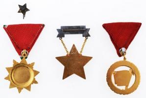 ~1970. "Kiváló Ifjúsági Vezető" aranyozott, zománcozott fém kitüntetés nem eredeti tokban ...