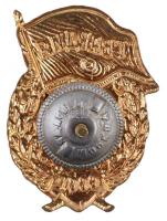 Szovjetunió ~1950-1960. "Szovjet Gárda jelvény" aranyozott, zománcozott fém jelvény csavar...