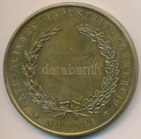 Olaszország 1903. "Nápolyi Kiállítás" aranyozott fém emlékérem "Eugenio Gombás Budape...