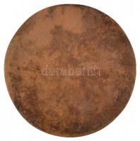 Bajnok Béla (1937-) DN "Kijev" egyoldalas Br érem (93mm) T:2