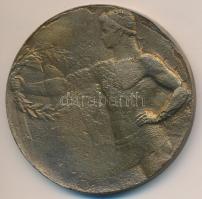 DN "Budafoki Munkás Dalkör" kétoldalas fém érem (49,5mm) T:2- ph