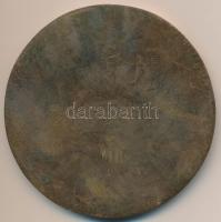 Nagy István János (1938-) DN "Tula" egyoldalas Br érem (89mm) T:2