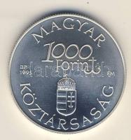 1995. 1000Ft Ag "Régi dunai hajók III" T:BU