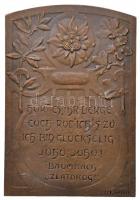 Ausztria ~1910. "Victa Denique, Victrix Natura" kétoldalas Br turista plakett. Szign.: Hei...