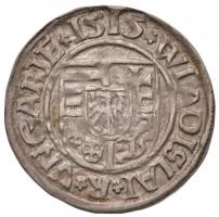 1515K-G Denár Ag "II. Ulászló" (0,58g) T:2
Huszár: 811., Unger I.: 646.c