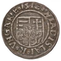 1512K-G Denár "II. Ulászló" (0,59g) T:2 patina
Huszár: 811., Unger I.: 646.c