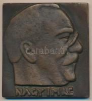 1989. Nagy Imre egyoldalas Br plakett dísztokban (65x70mm) T:2 hátlapon apró sérülés